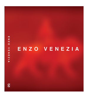 Enzo Venezia pitture video installazioni