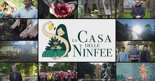 La casa delle ninfee